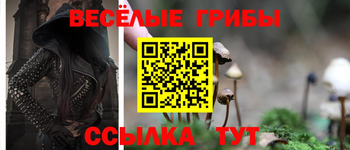 Орехово-Зуево  Псилоцибиновые грибы ЛСД  Вход с VPN 
